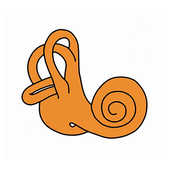 이석증 클리닉 아이콘